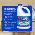 Clorox Disinfecting Bleach