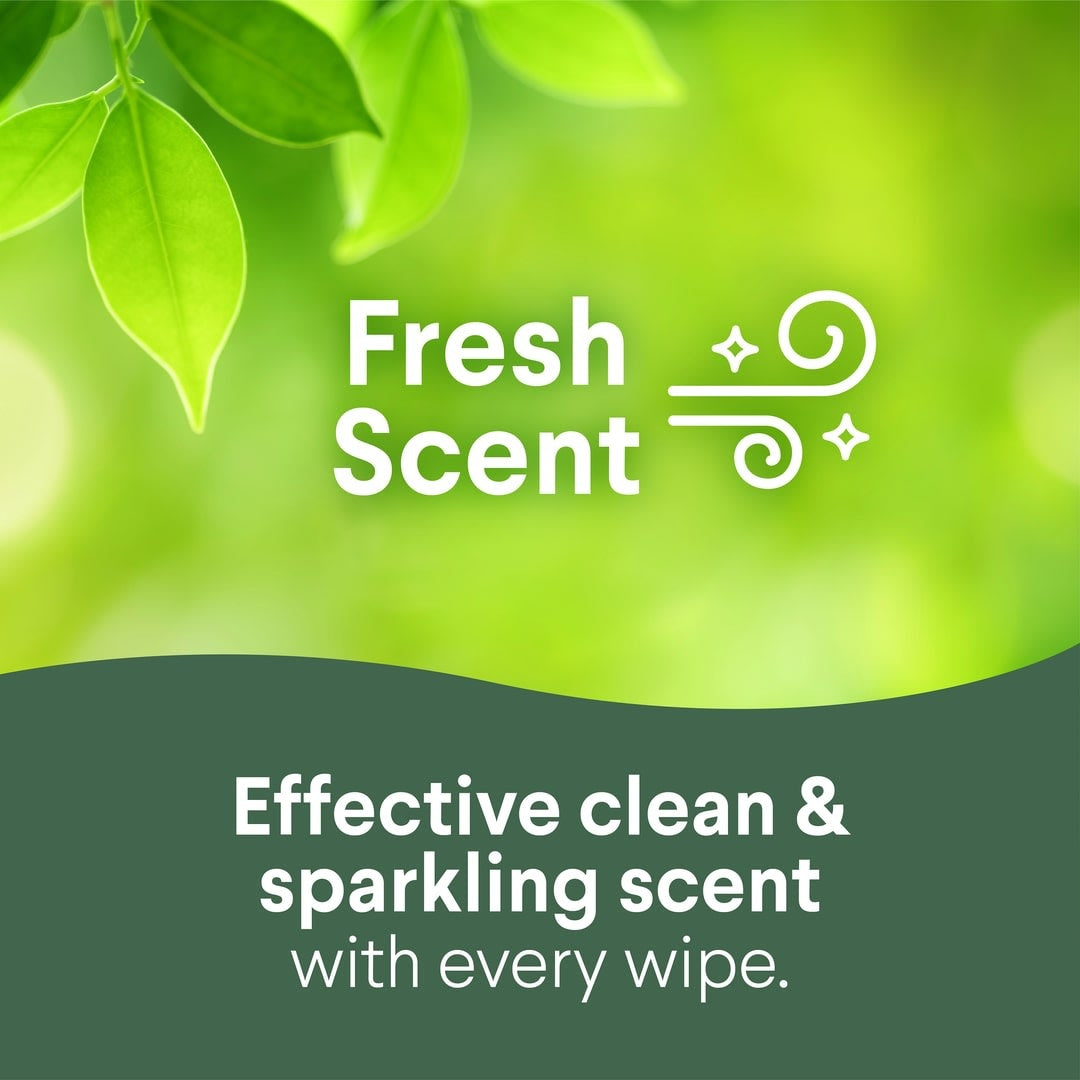 Clorox Disinfecting Cleaning Wipes To Go - 9 count | 9 ct.