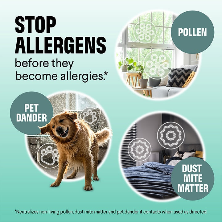 Clorox PURE Allergen Neutralizer Daily Air Spray | 8 oz., Air Care